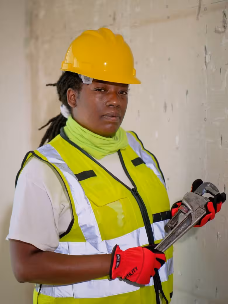 What are the entry requirements to get onto the Trade & Vocational Degree? illustration