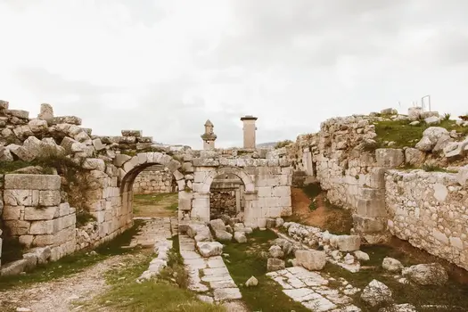 What experience do I need to be able to apply for Archaeology illustration