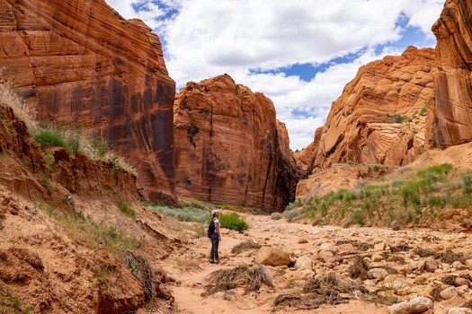 Geological & Earth Sciences