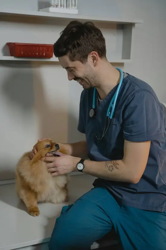 Veterinary Science