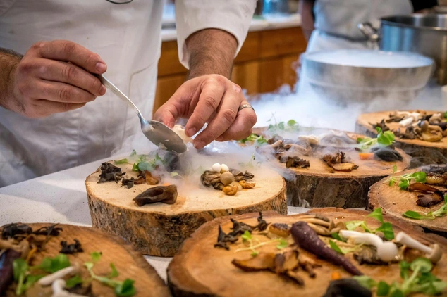 Culinary Arts study and career guide