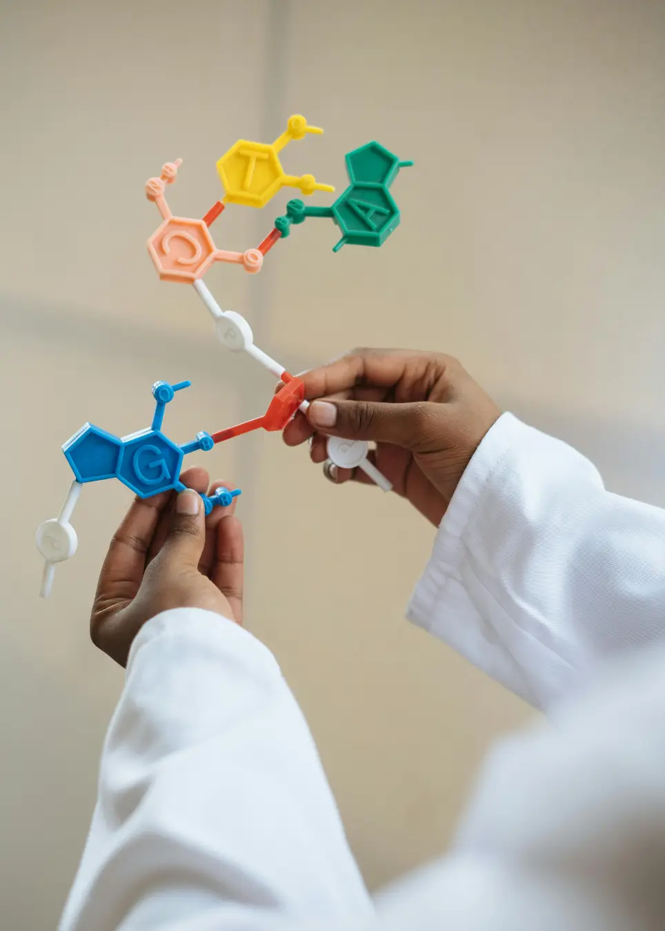 Engineering Science & Technology Program goals illustration