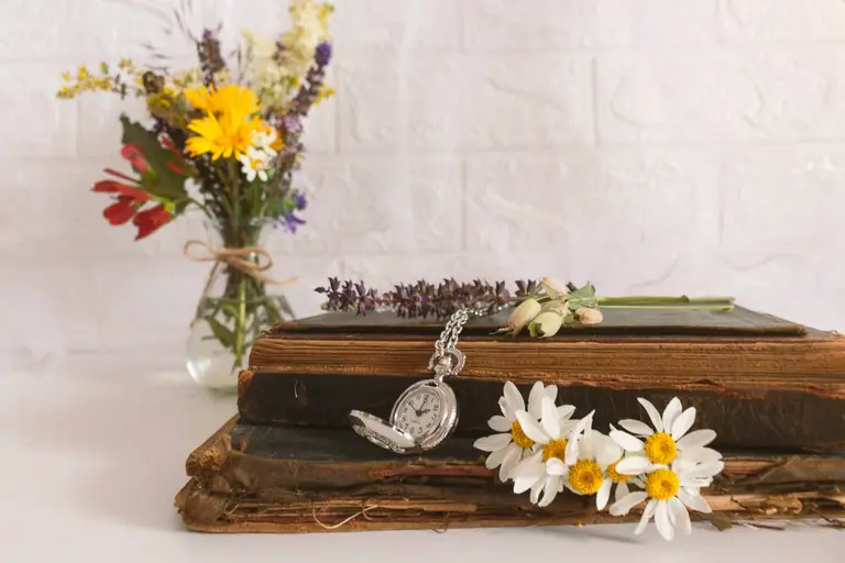 Mortuary & Funeral Services study and career guide